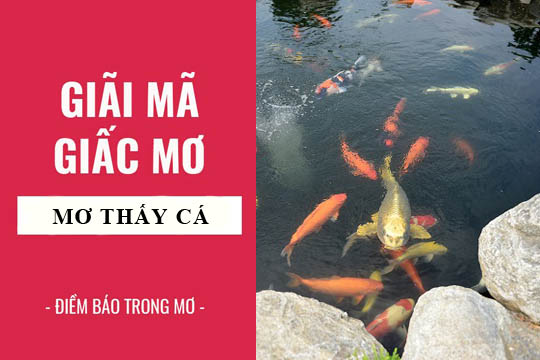 nằm mơ thấy cá